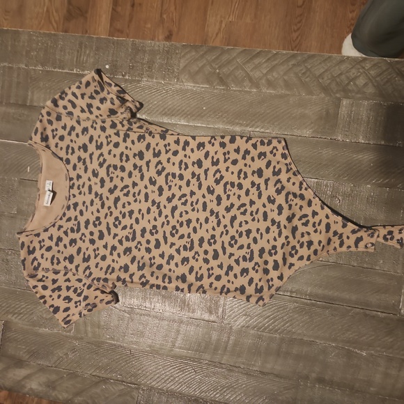 Pair of Abercrombie Bodysuites - Picture 4 of 4